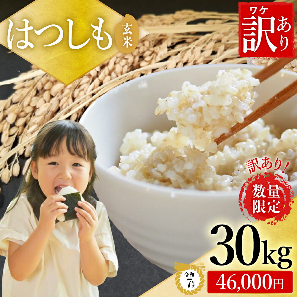 【ふるさと納税】【30kg 今だけ寄付額46,000円／在庫なくなり次第終了】令和7年産 ハツシモ米【 玄米 】30kg 【岐阜県代表品種】訳あり 期間限定 数量限定 寄付額改定／世界農業遺産認定地域（清流長良川中流域）で栽培！ 大量 大容量 L6 G30-08