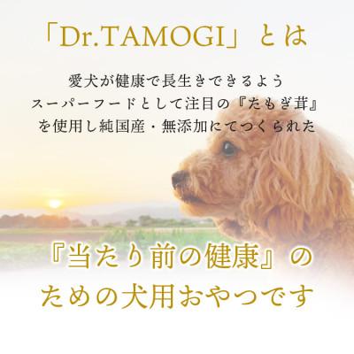 ふるさと納税 あさぎり町 犬用おやつ 「Dr.TAMOGI(トリーツ) 80g×1袋」純国産 |  | 01