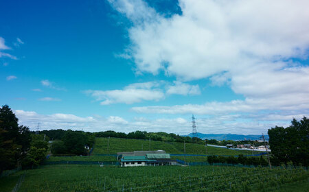 ワイン・ブランデー・梅酒セット　栗東市 / 太田酒造株式会社 [BIAC010]