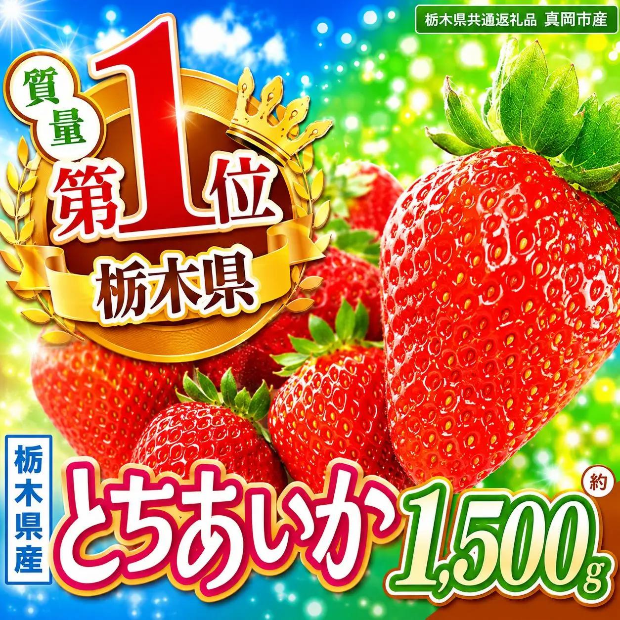 【先行予約】【栃木県共通返礼品】厳選とちあいか 6P 約1.5kg | 栃木県 那珂川町 送料無料