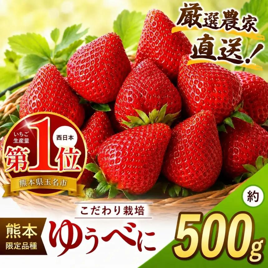 厳選農家直送 ゆうべに 約500g