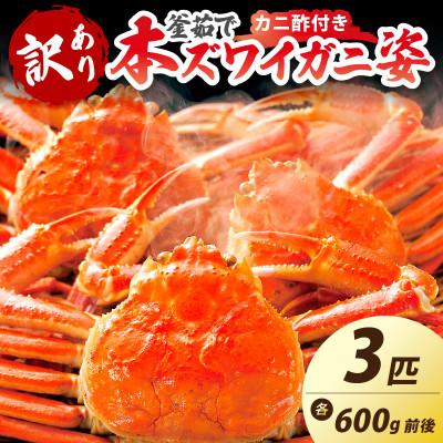 ふるさと納税 京丹後市 【大好評!カニ酢付き】訳あり!釜茹で!本ずわいがに姿 3匹(600g前後×3匹)