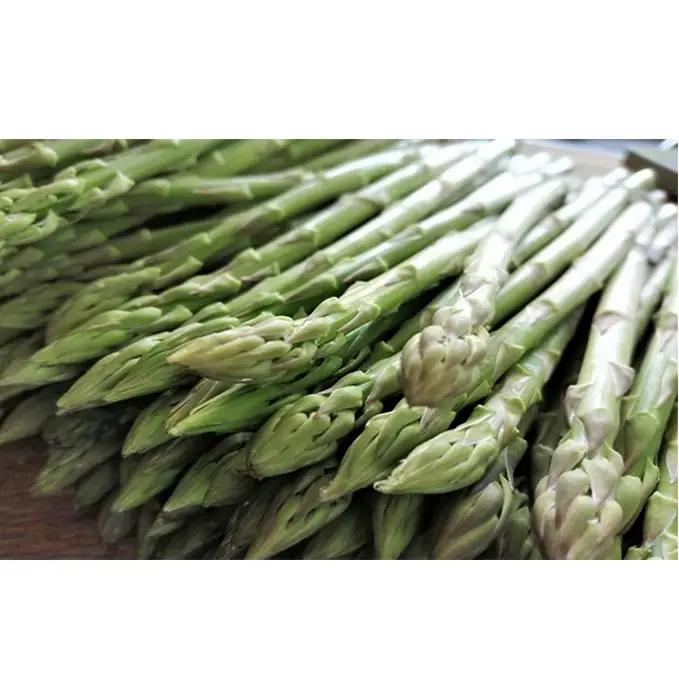 少し訳ありSWANの特選アスパラ1kg【さぬきのめざめ】 野菜 野菜セット アスパラガス 訳ありアスパラ 