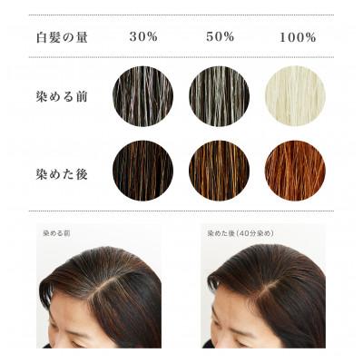 ふるさと納税 瑞穂町 自然素材100%、髪にも肌にも優しい白髪染め ナイアード「ヘナ+木藍 茶」 (100g) |  | 01