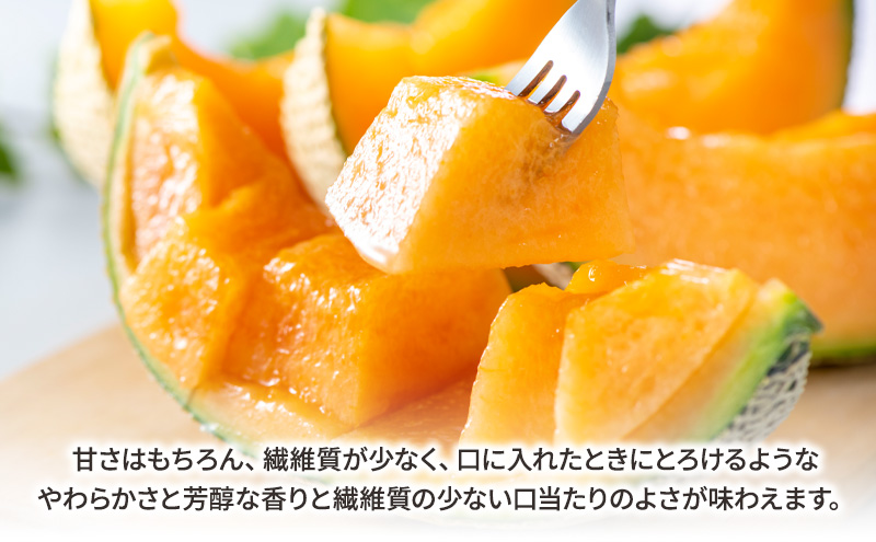 約3kgの特大 富良野メロン×2玉　富良野 メロン 赤肉 大きい ビッグサイズ 贈答 家族