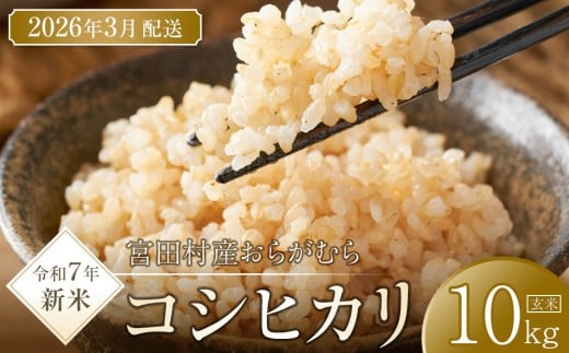 【予約受付】【令和７年米】【新米】長野県宮田村産コシヒカリ／玄米／10kg・20,000円／令和８年3月配送