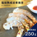 【ふるさと納税】生食可 塩田熟成 活車海老 ノーマルサイズ 瞬間凍結 250g ギフト 贈答 化粧箱 国産 海老 えび 広島県 大崎上島 瀬戸内 離島 新鮮 送料無料 産地直送 ファームスズキ