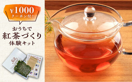 【最速発送】おうちで 紅茶 づくり 体験キット（Webショップで使えるクーポン付） 国産 ティー  スピード発送 最短発送 [WBE010]
