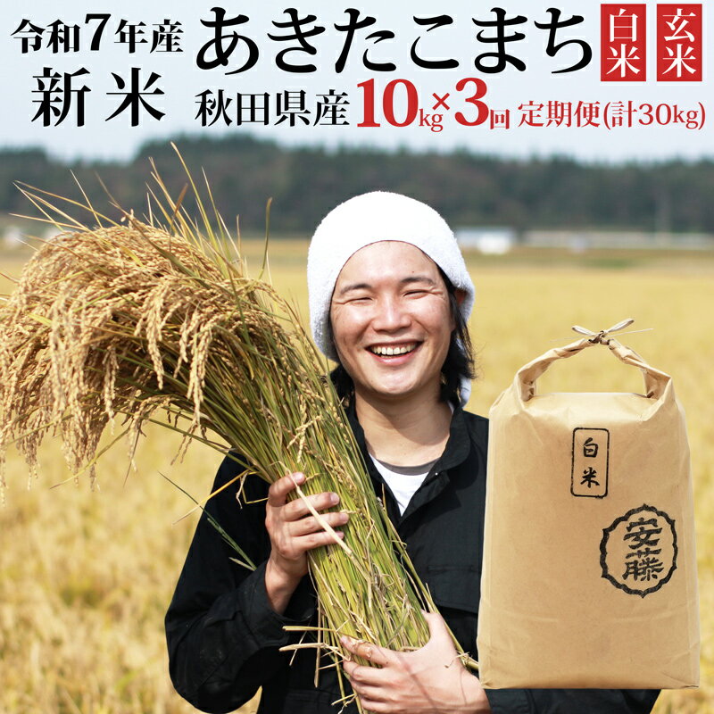 【ふるさと納税】《令和7年産 新米先行受付》《定期便3ヶ月》秋田県産 あきたこまち 10kg(10kg×1袋)×3回 【白米／玄米 選べる】計30kg 令和7年産