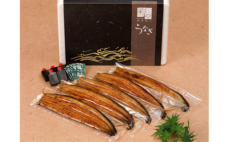 うなぎ 彩和 浜名湖うなぎ 140g以上 5本セット うなぎ