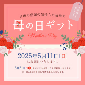 M04017-H 【母の日ギフト】鉄板ｋａｉｓｅｋｉ叶羽（とわ） 秘伝のレシピ！黄金配合のオリジナルドレッシング 2本セット≪5月11日お届け≫