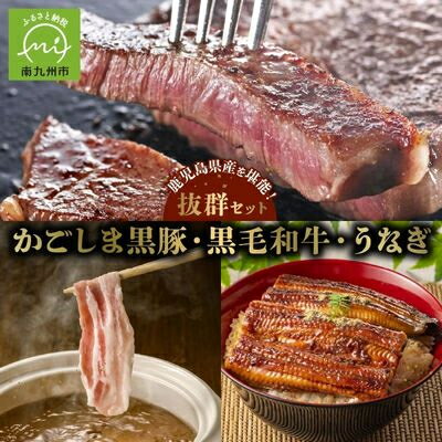 【ふるさと納税】かごしま黒豚しゃぶしゃぶ用2パック・黒毛和牛サーロイン2枚・ウナギ1尾の抜群セット【配送不可地域：離島】【1185971】