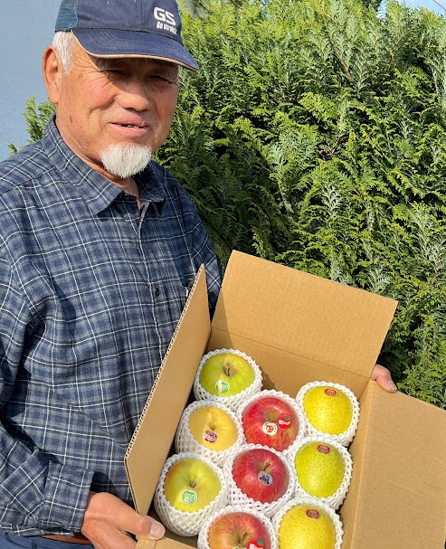 木村農産のりんご詰め合わせ (贈答用) 約8kg (20玉から24玉)｜青森県産 つがる リンゴ 林檎 果物 フルーツ 令和7年産 2025年産 [0910]