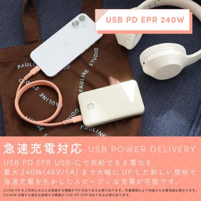 ふるさと納税 海老名市 マグネットケーブル C to C 1m ウォームピーチ(MOT-MGCC100-OR) |  | 03