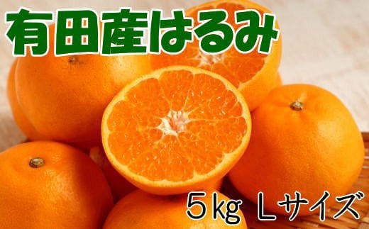 
【厳選・濃厚】紀州有田産のはるみ約5kg(Lサイズ) ※2025年1月下旬頃～2月中旬頃順次発送（お届け日指定不可） / 果物 くだもの フルーツ 蜜柑 みかん
