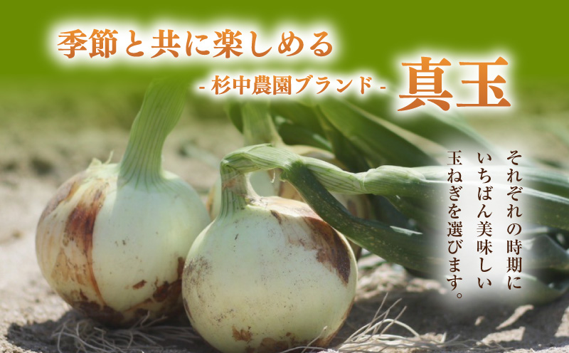 口に広がる優しい甘さの玉ねぎ ～真玉～　5kg(箱の重さ込み）・S097