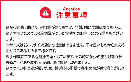 【2024年9月以降発送】千葉県富里市産　シルクスイート　5kg　サイズ混載　土付き TMH002 / さつまいも サツマイモ  シルクスイート  しるくすいーと おさつ 甘藷 唐いも あまい 甘い 