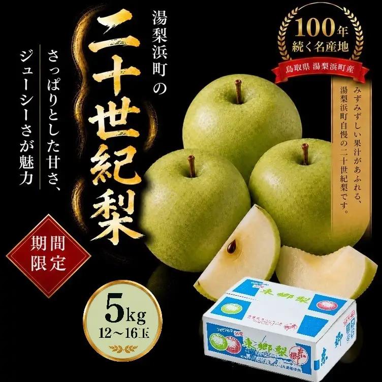 【期間限定】梨 なし 二十世紀 5kg 鳥取県 湯梨浜町 果物 フルーツ 特産品 8月中旬～9月上旬頃順次発送 先行予約 JA 東郷梨選果場 新鮮 人気 おすすめ 送料無料 選べる 内容量  くだもの フルーツ さっぱり さわやか ジューシー 定番 贈答 進物 4M
