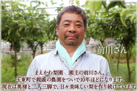 まえかわ梨園の玉東梨 熊本県玉東町産【2品種から旬の梨1種】約3kg（6-8玉前後）《 8月中旬-9月下旬頃出荷》 ｜ブランド梨 人気梨 特産品梨 熊本県梨 玉東町梨 大人気返礼品
