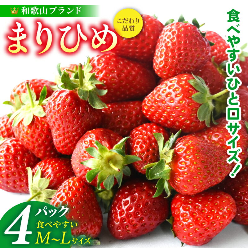 【ふるさと納税】【先行予約】まりひめイチゴ4パック 食べやすいひと口サイズ M～L（15粒～20粒入×4パック）【2026年1月初旬～3月下旬頃に順次発送】（お届け日指定不可）/ いちご 苺 まりひめ 和歌山 フルーツ 果物 くだもの