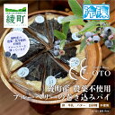 【ふるさと納税】綾町産、川越さんの無農薬ブルーベリーを使ったブルーベリーの巻込みパイ（91-03） ケーキ スイーツ お菓子 プレゼント 誕生日 お祝い お土産 ギフト お礼 お返し 贈り物 冷凍