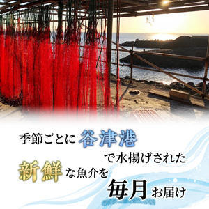 伊勢海老 アワビ サザエ 定期便 年12回 海からのお届け物 ワカメ ひじき はんばのり 干物 伊勢エビ さざえ あわび わかめ 海苔 天草 煮魚 惣菜 えび 鮑 貝 魚 魚介 魚介類 海鮮 海鮮セッ