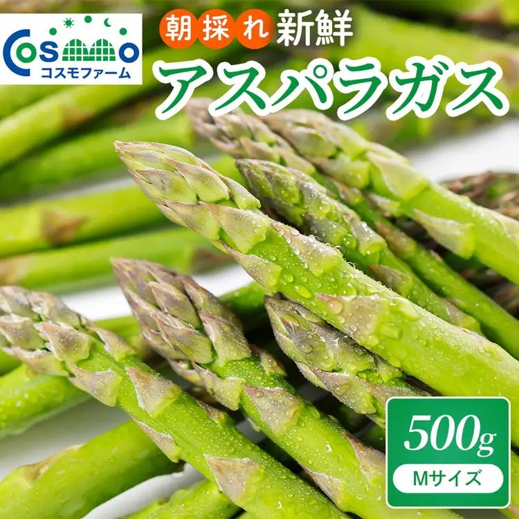 朝採り新鮮アスパラガス 500g【Mサイズ】 | アスパラガス