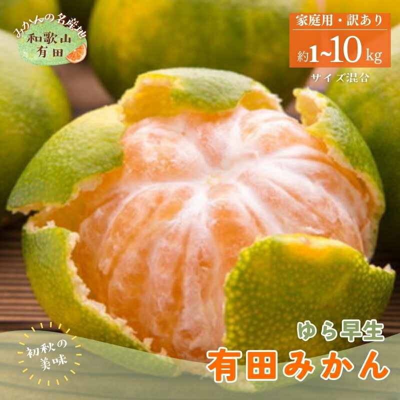 【ふるさと納税】 【初秋の美味】【2025年10月上旬〜10月下旬頃順次発送予定】有田育ちのご家庭用訳ありゆら早生有田みかん 1kg～10kg【サイズ混合】選べる容量