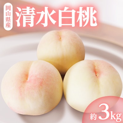 岡山県産「清水白桃」約3kg|7月中旬頃～順次発送【配送不可地域：離島】