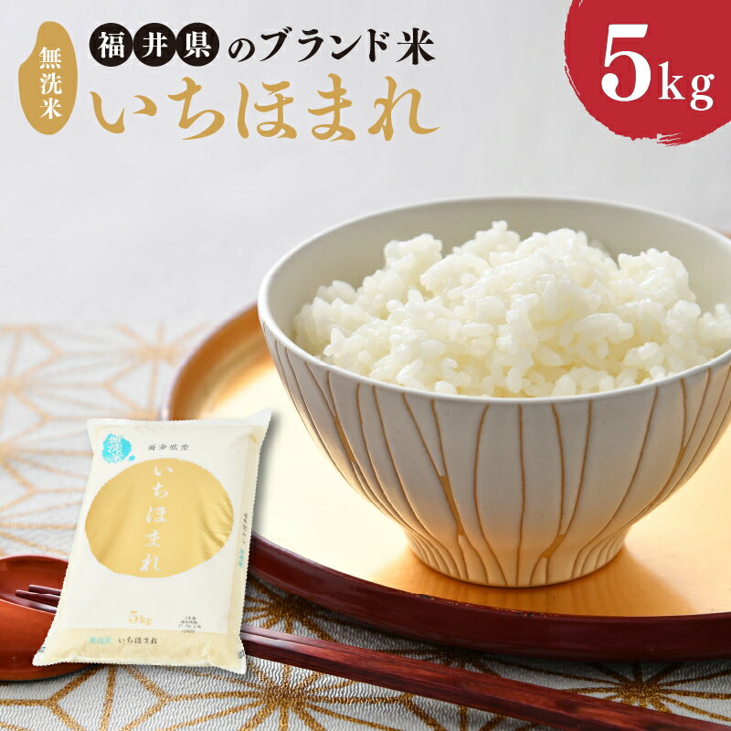 【ふるさと納税】【令和7年産・新米】福井県のブランド米 いちほまれ5kg 無洗米 【 人気 品種 ブランド米 特A 】