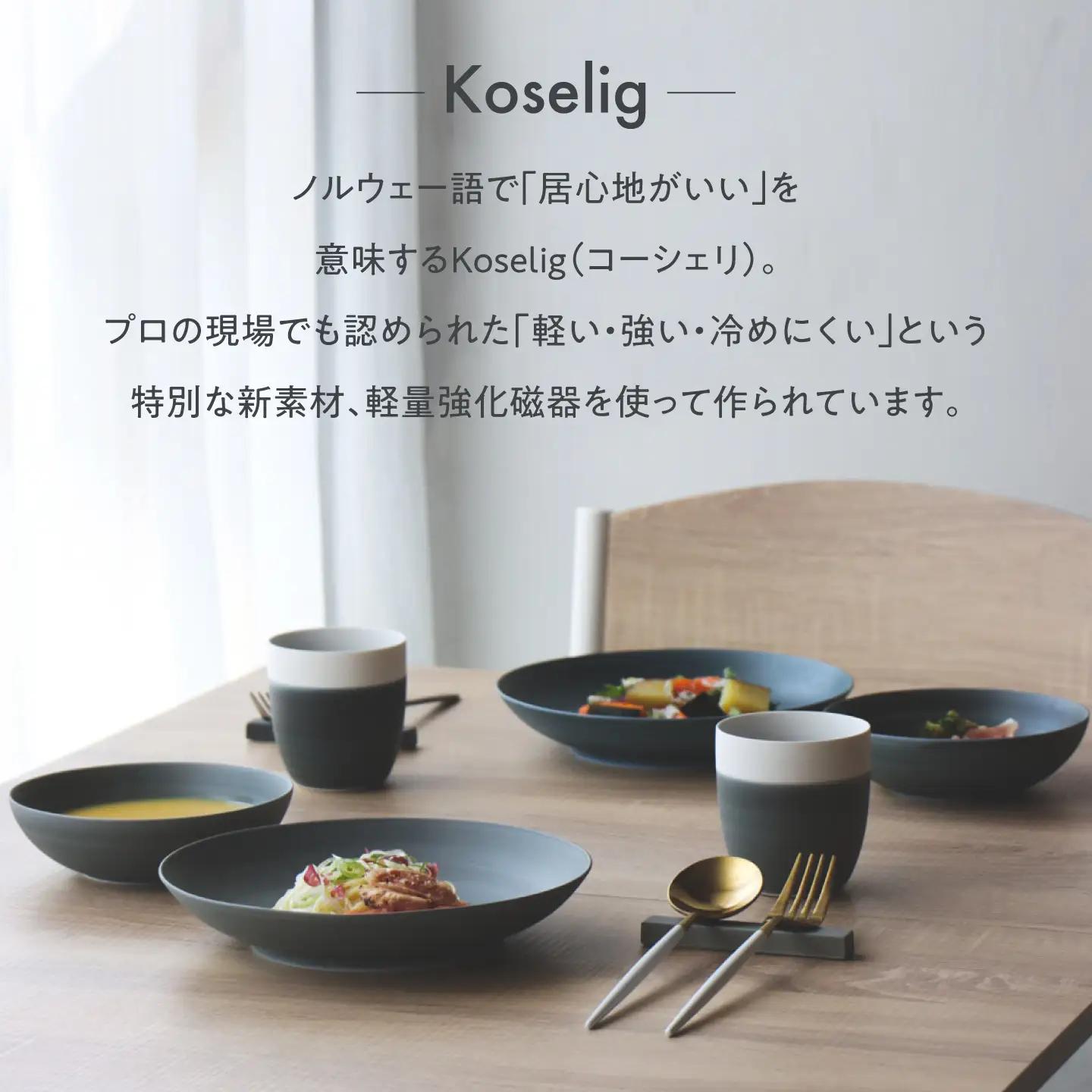 【波佐見焼】Multi plate 21cm ブラウン 2枚セット Koseligシリーズ【山忠】 パスタ皿 カレー皿 深皿[BH05]