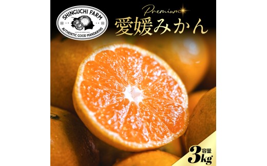 老舗農家が見極めたプレミアム＜愛媛みかん3kg＞＜愛媛県川上産＞＜A70-124＞【1683978】 YWTK123