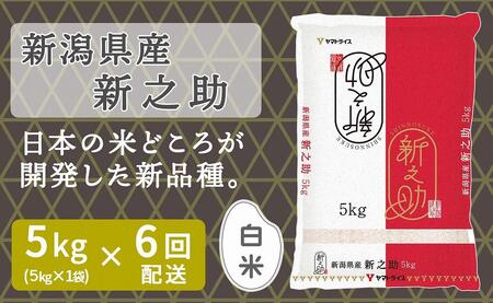 【定期便全6回】新潟県産新之助5kg（受注の翌月から毎月配送）