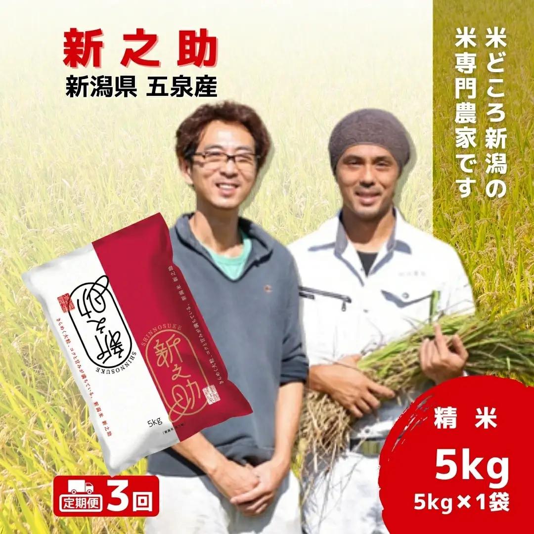 【定期便3回】令和7年産 新之助 5kg×3回 計15kg わくわく農場 | 新潟県 五泉市 新之助