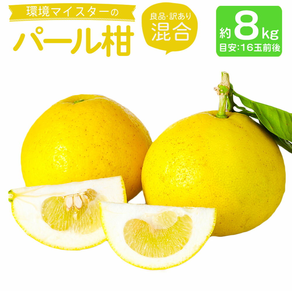 【ふるさと納税】環境マイスターのパール柑 良品 訳あり 混合 約8kg 16玉前後 （栽培期間中は無肥料・農薬不使用） パール柑 グレープフルーツ 柑橘 果物 国産 九州産 熊本県産 冷蔵 送料無料【2026年2月上旬‐4月上旬迄順次発送予定】
