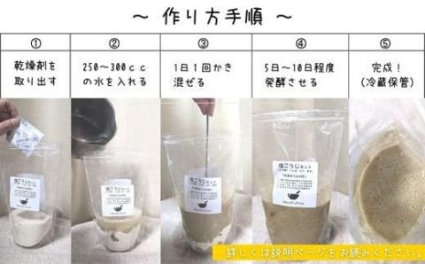 てづくり 出汁塩こうじキット  150ｇ 無添加 玄米麹 液体麹 国産 素材 こんぶ 干 しいたけ 椎茸 塩