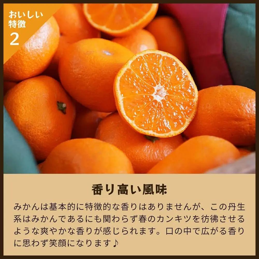 蔵出しみかん丹生系　5kg家庭用｜和歌山県海南市下津町の特産品蔵出しみかんの最高級品種を産地直送でお届け【2027年2月発送開始】