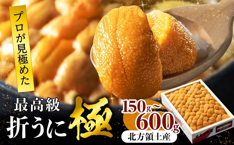 
                  【内容量が選べる】≪プロ厳選≫最高級折うに(極)150g～600g うに ウニ 雲丹 折うに 海鮮 海産物 北海道 浜中町 ふるさと納税 人気_020401-SKU
                