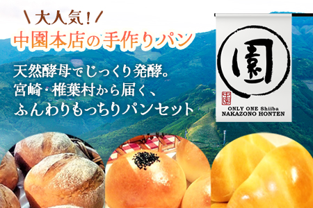 【秘境・椎葉村の愛されパン屋さん】 天然酵母パン 詰め合わせ 7種10個セット【送料無料 パン 冷凍 お取り寄せ 定期便 天然 酵母 詰め合せ セット 低温 長時間熟成 メロンパン あん塩 バターロー