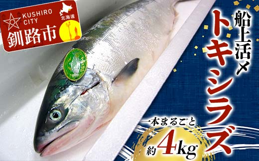 【期間限定！寄附額改定↓！】トキシラズ 約4kg 鮭 サケ 魚 トキシラズ 生鮮 北海道 釧路市 F5F-0111
