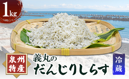 しらす 1kg 義丸のだんじり しらす