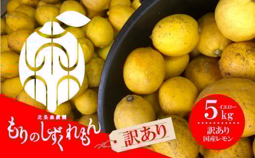【訳あり】 数量限定 もりのしずくレモン イエローレモン 5kg 国産 レモン 先行予約 レモン れもん 檸檬 レモン果汁 酸味 果物 ビタミン 健康 フルーツ 柑橘 農家直送 産地直送 数量限定 国産 愛媛 松山 レモン レモンサワー ジュース チューハイ 果物 くだもの 果実 国産 フルーツ 有名 愛媛 みかん 愛媛県産 瀬戸内 ビタミン レモン れもん デザート スイーツ 人気 おすすめ