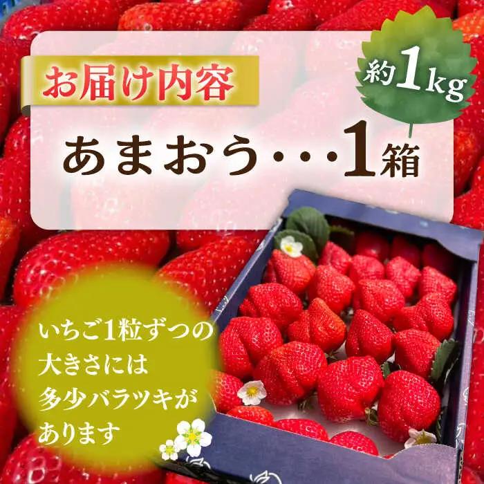 【先行予約】津田くん農園のあまおう 1kg VDG001 あまおう