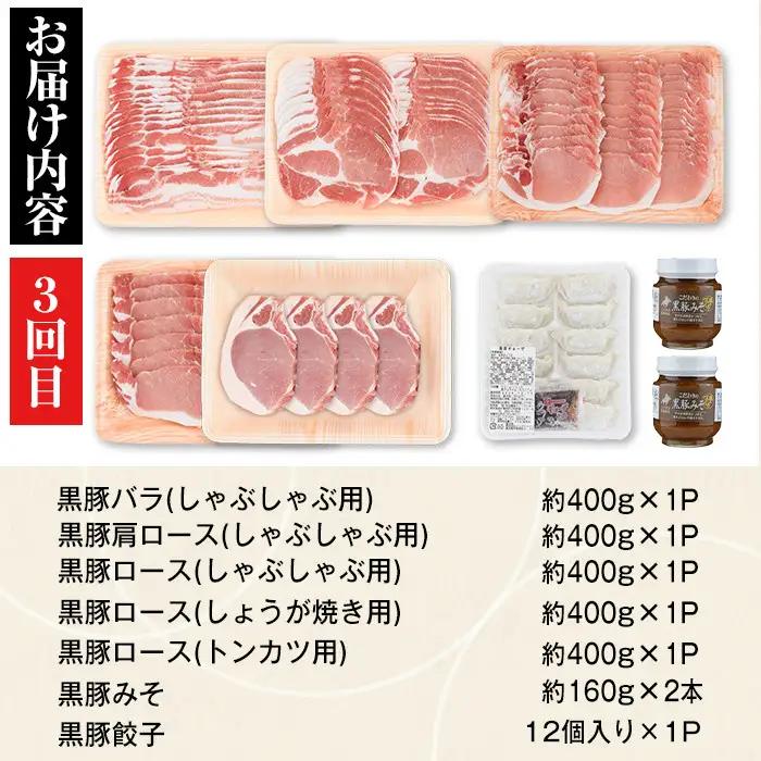 ＜定期便・全3回(隔月)＞極上セットE かごしま黒豚 ふるさと定期便 豚肉 国産【和田養豚】E02005