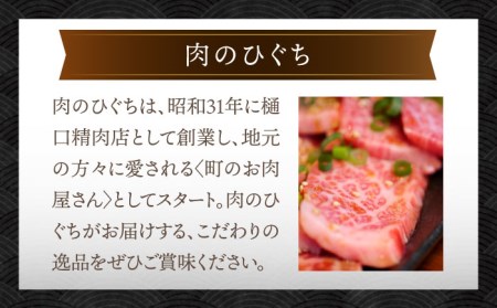 ＼贅沢な味わいをご家庭で／ 【6回定期便】【飛騨牛】切り落とし 総計6kg 〈1回あたり〉1kg (250g×4)【肉のひぐち】 国産 ブランド牛 和牛 BBQ キャンプ  [TDC015]