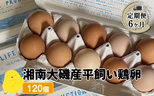 
            【定期便6ヶ月】 湘南大磯産平飼い鶏卵 120個＜2024年12月1日出荷開始　6ヶ月連続でお届け＞【 たまご 神奈川県 大磯町 】
          