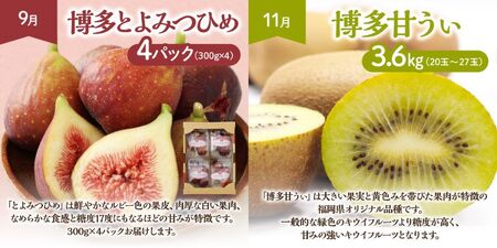 【定期便/年6回】フルーツ むなかた旬のフルーツ6回定期便 _HB0090