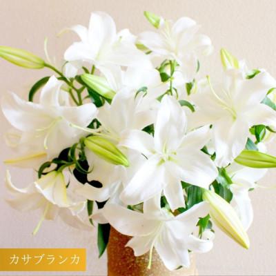 ふるさと納税 津南町 【規格外品】カサブランカ(5本束×1セット)
