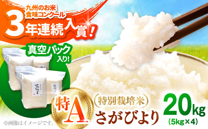 
            【先行予約】【令和6年産新米】【九州米・食味コンクール3年連続入賞！】こだわりの さがびより 20kg（白米）【白浜農産】米 お米 特別栽培米 佐賀 白石 [IBL002]
          