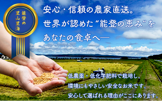 【発送時期が選べる】令和7年産 石川県能登産 こしひかり玄米10kg（5kg×2個） / 米 玄米 10kg 日本初！世界農業遺産認定「能登の里山里海」の恵み ｜石川県 七尾市 能登 こしひかり お米